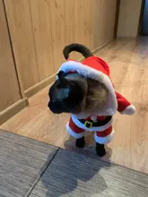 Christmas Cat Clothes Halloween Clothes For Cats Costume New Year Outfit Pet Cat Clothes