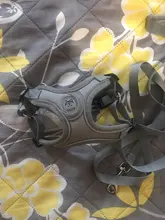 Arnés tipo chaleco sin tirones para perro, correa reflectante para perro pequeño y collar para terrier schnauzer Gato, suministros de entrenamiento para caminar, chihuahua