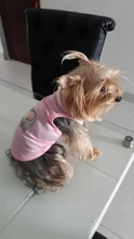 Ropa con estampado de dibujos animados para perro y gato, camiseta de mascotas para pequeño cachorro de perro, chaleco para mascotas, Accesorio clásico