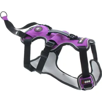

Harness I DOG Canicross-Size L-Purple-For dogs
