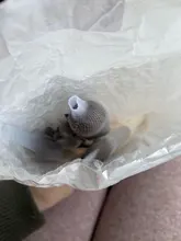 Zoreya marca pelo sintético suave sombra de ojos cepillo mango blanco mezcla rubor labio polvo resaltador maquillaje brochas Set 10 piezas