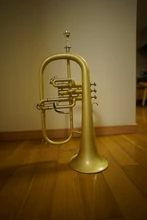 Instrumento Musical profesional Chapado en latón con estuche, Bb Tune Flugelhorn, producto Real, envío gratis