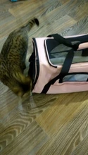 Dog-Carrier-Bags Airline Pet-Cat-Dog-Backpack Portable Cats Small Dog for Approved