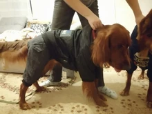 HOOPET Large Coat Down-Jacket Winter New Warm Autumn for Dogs Dog-Prints Overalls Leisure-Style