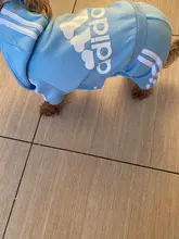 Traje para mascotas pequeñas y medianas, mono para cachorros, ideal para bulldog francés, chihuahua o pug