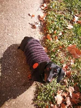 Dog Clothing Jacket Pullover French Bulldog Fleece Shirt Pet-Coat Puppy Camouflage Warm