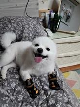 Boots Pet-Shoes Dog Large Waterproof Anti-Skid Small Winter Golden Warm Big 8-Sizes Wear-Resistant