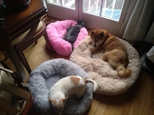 Cama de felpa redonda para gatos, esterilla de invierno cálida, cesta suave para perros, cojín de viaje portátil, suministros para mascotas