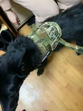 Vest Harness Collar Dog-Leash Pet-Dog German Shepherd Dogs K9 Walking Nylon Adjustable