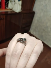 Anillo de serpiente Chapado en plata y Rattlesnake para hombre y mujer, Joyería Moderna de estilo Hip Hop, Punk, para fiesta y motocicleta