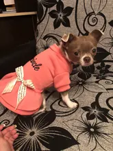 Coat Dress Teddy Poodle-Clothes Puppy Small-Pet Dog Winter Autumn with Letter Bowknot