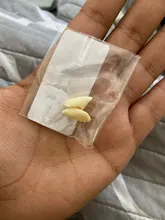 Colmillos de dientes de vampiresa, accesorios para dentaduras, accesorios para disfraces de Halloween, dentadura postiza, pegamento sólido, adhesivo para dentadura, decoración para fiesta de Halloween, 1 par