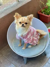 Pijamas de perros para otoño e invierno, Mono para perros pequeños, jerseys Shih Tzu Yorkshire, ropa de lana suave para cachorros y gatos