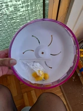 Oso dorado para mascotas, juguete deportivo para mascotas, jaula con ruedas, accesorios, disco de competición, rueda giratoria silenciosa para trotar, WJ901