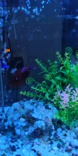 Grass-Decoration Aquarium-Decor Plant Fish-Tank Artificial-Plants Simulation Water-Weeds-Ornament
