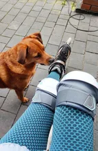 SVOKOR Dot-Leggings de cintura alta para Mujer, pantalones de realce para ejercicio sin costuras, informales, de poliéster