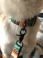 National style Nylon Printed Dog collar and leash set Adjustable Puppy Small 