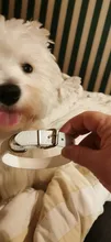 De cuero suave sólido Collar de perro ajustable correa para el cuello perrito seguro collares para pequeño mediano perro grande Collar gatito gato Accesorios
