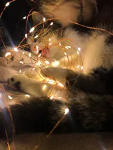 Light-String Garland Copper-Wire-Lights Battery-Power Festoon Fairy LED Christmas Wedding