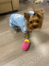 Pet-Toys Dog-Supplies Cat Plush Mini Cartoon Funny Legendog Bite-Resistant