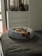Cesta redonda de felpa para cama de perro, caseta para gatos, saco de dormir cálido para invierno, nido de gatos, cojín largo de felpa suave para mascotas, perros medianos y grandes