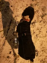 Jackets Dog-Coats Outdoor Winter Pet-Dog Dogs Large Medium for Warm Clothing Kurtka Ubranka