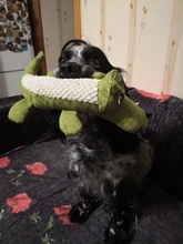 Toys Dog-Toy Squeaker-Toys Pet-Supplies Pet Chew Stuffed Squirrel Animal Bite-Resistant