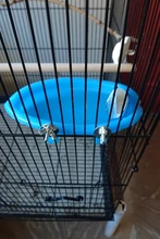 Caja de plástico para baño de aves, jaula de plástico para baño de loros, periquito, pájaro amoroso, mascota, Bol colgante, baño de aves, ducha de baño