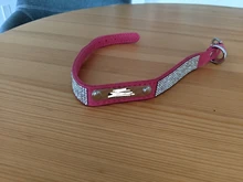 Dog-Collar Name-Tag Dogs Customized Adjustable with for Small Medium Cats