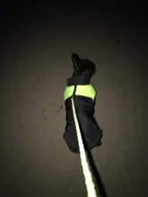 Coat Jacket Puppy-Vest Dogs Waterproof Winter Medium Pet-Dog Zipper Small Large Warm