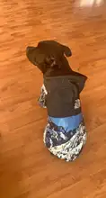 Chubasquero para perros pequeños y grandes, abrigo de viento, Sudadera con capucha de Bulldog Francés para perros, ropa, chaqueta, Chihuahua, cara de perro