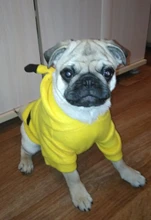 Pajamas Hoodie Cat-Costume Dog-Coat Puppy Cosplay SUPREPET Winter Cute Autumn Cartoon