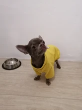 Ropa de perro de moda ropa de invierno para perros pequeños perros mediano chaqueta de abrigo Chihuahua ropa para mascotas para pequeño mediano perros Carlino