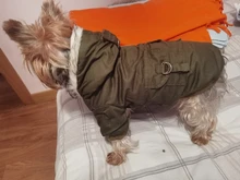 Chaqueta con capucha para gatos domésticos y perros, abrigo cálido para invierno, para perros medianos y pequeños, Chihuahua, ropa ligera