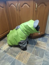 Mono impermeable para perro mascota, ropa impermeable para exteriores, mono con capucha para perros pequeños y grandes, capa impermeable, Bulldog francés