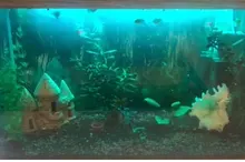 Lighting Aquarium-Light Plant-Lamp Fish-Tank-Light Underwater-Fish-Lamp LED Waterproof