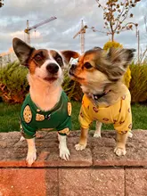 Warm Dog Sweatshirt Puppy-Clothes Dog-Costume Soft-Fleece Chihuahua Winter Yorkshire