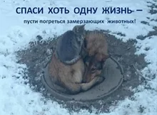 Barber Razor Hair-Trimmer Cutting-Machine Electric-Hair-Clipper Beard Style-Tools KM-666