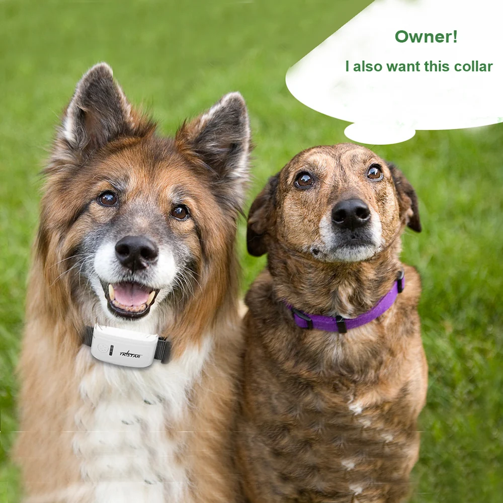 Smart Tracker TK-STAR TK909 GPS Pets Tracker GSM SMS GPRS Tracker Free App