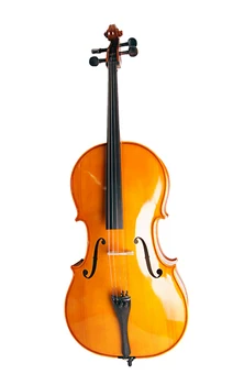 

4/17c-1/2 Salzburg виолончель 1/2, strunal