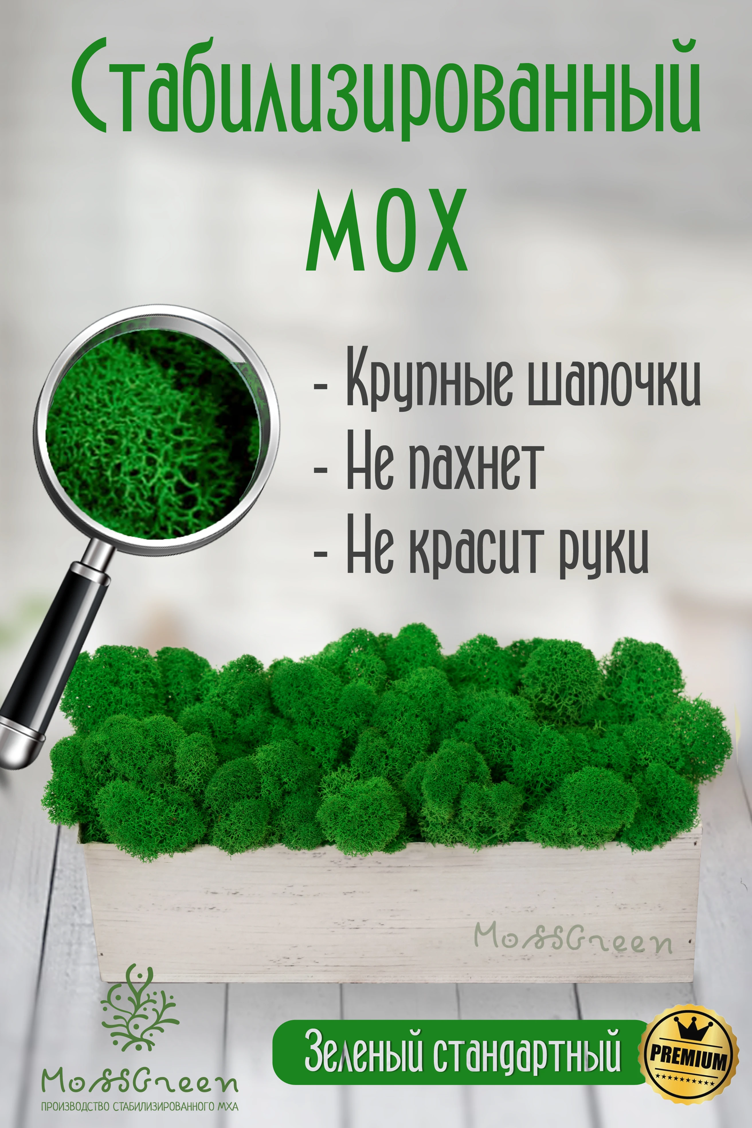 Мох стабилизированный 500 гр/мох ягеля MossGreen цвет 9 Зеленый стандартный | Дом и сад