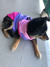 Ropa de invierno para mascotas ropa para perros, abrigo, chaqueta, traje para perros, chaleco para mascotas, ropa de Chihuahua, chaqueta, ropa para perros