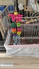 Toys-And-Accessories Cage-Decoration Bird-Stand-Supplies Budgie Perch Vogel Parrots Swing
