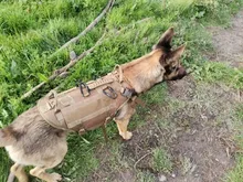 Vest Harnesses Pet-Training Dogs Military-Working Tactical Medium Nylon Durable for Large