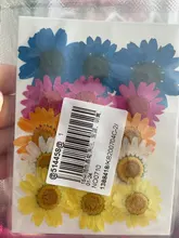 Hojas de resina de flores secas para decoración del hogar, Molde de resina UV Expoxy para arte de uñas, flores prensadas para artesanía para decoración del hogar