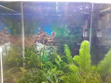 Bright-Clip-Lamp Led-Light Aquarium Plants Fish-Tank Blue Waterproof Super-Slim 220v