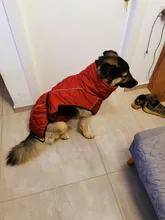 Jackets Dog-Coats Outdoor Winter Pet-Dog Dogs Large Medium for Warm Clothing Kurtka Ubranka