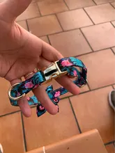 Personalizada Collar de Nylon para perro Collar personalizado Collar para mascota cachorro grabado nombre ID para pequeño mediano grande perros Carlino