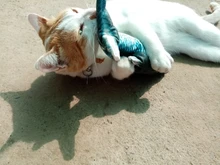 Muñeco eléctrico de peluche con forma de pez en movimiento para niños, juguete interactivo con carga USB para mascotas