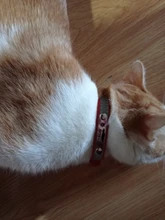 Collar de perros de piel sintética personalizado, reflectante, gato, grabado personalizado, etiqueta de identificación, grabado para cachorro, perros grandes, accesorios para mascotas